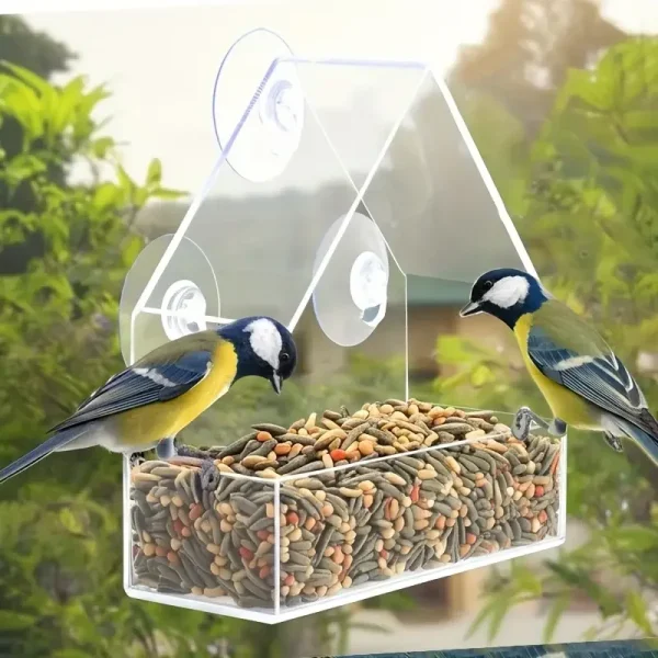 Transparent Window Bird Feeder with Strong Suction Cups