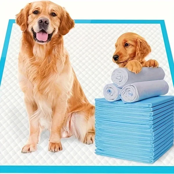 XXL Super Absorbent Leak-Proof Disposable Dog Training Pads - Blue