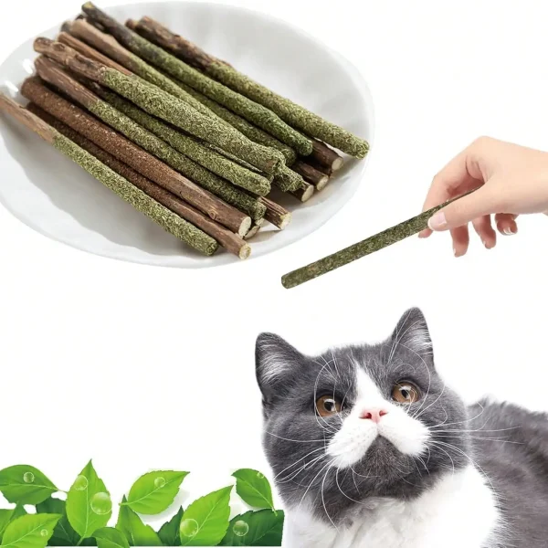 Natural Silvervine Catnip Chew Sticks for Cats (12 Pack)