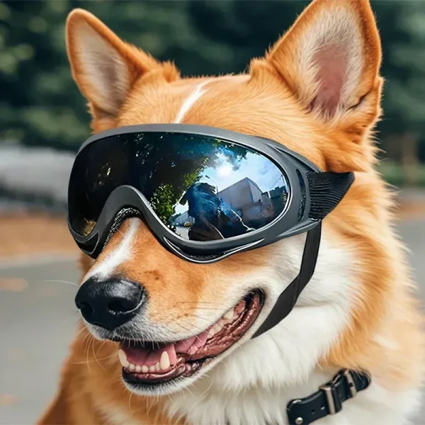 Adjustable UV Protection Dog Goggles for Outdoor Eye Protection